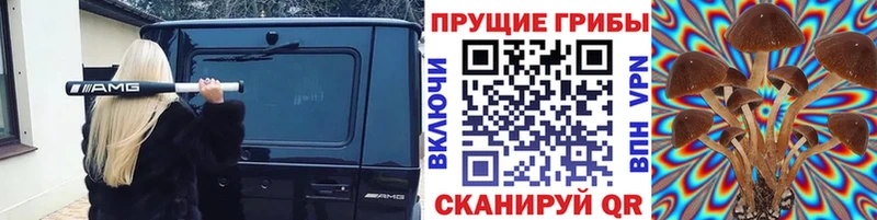 Галлюциногенные грибы Psilocybine cubensis  Купить закладки  Щёкино 